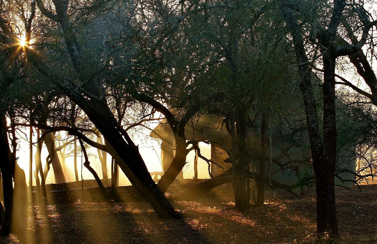 הוילה Simunye Hlane Royal National Park מראה חיצוני תמונה